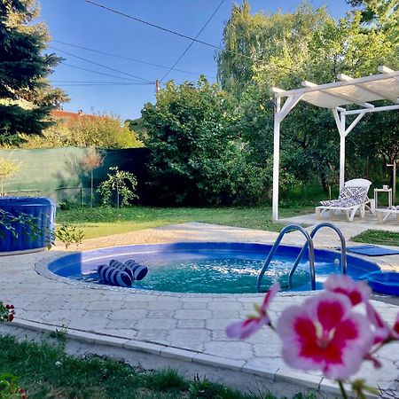White House With Sauna And Jacuzzi ノヴィ・サド エクステリア 写真