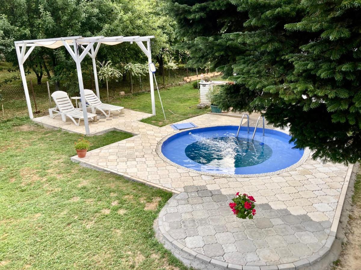 White House With Sauna And Jacuzzi ノヴィ・サド エクステリア 写真