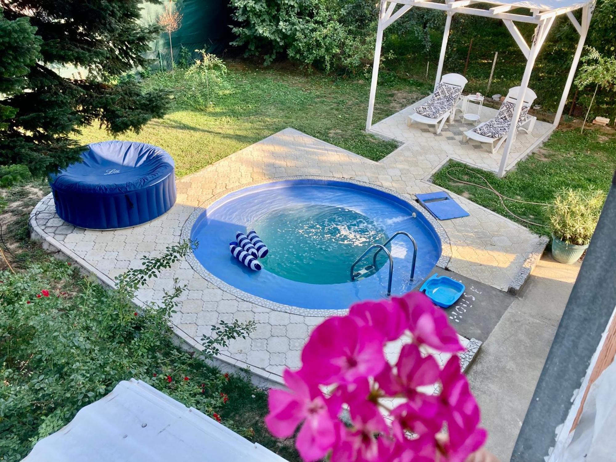White House With Sauna And Jacuzzi ノヴィ・サド エクステリア 写真