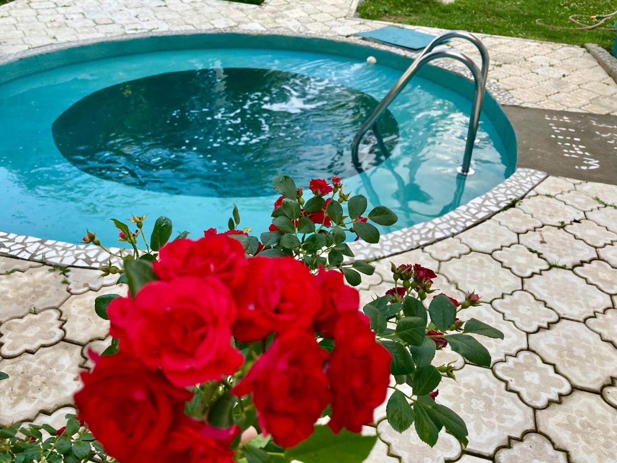 White House With Sauna And Jacuzzi ノヴィ・サド エクステリア 写真